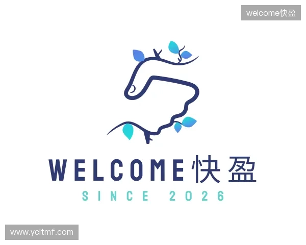 了解快盈VII
